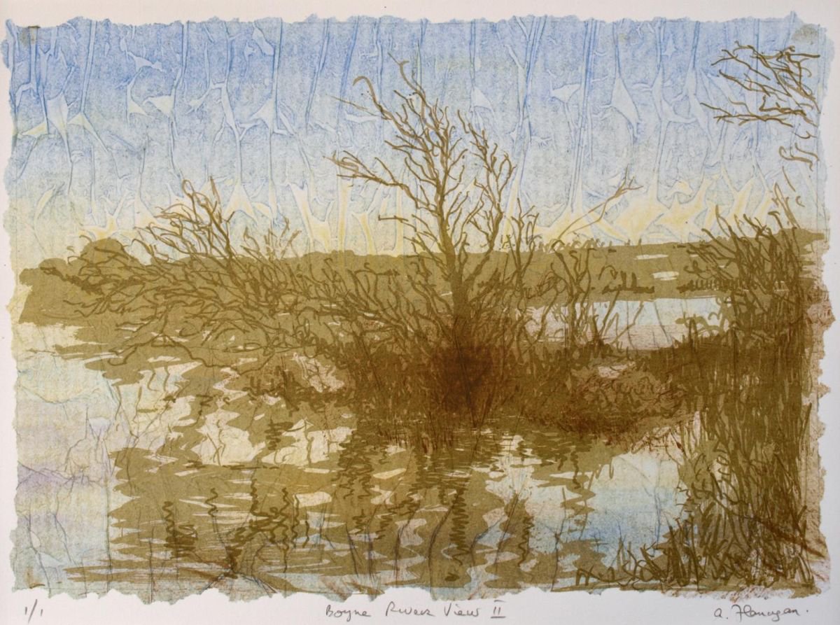 Boyne River View 2 by Aidan Flanagan Irish Landscapes