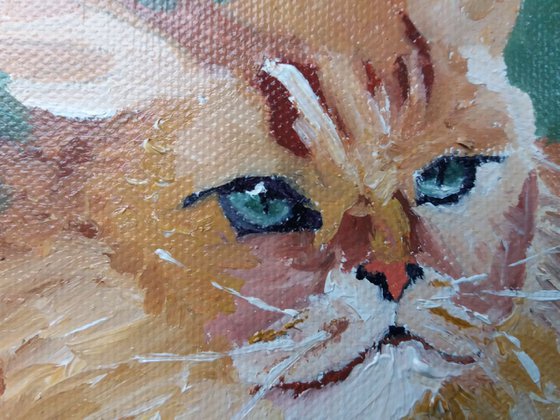 Don't Call Me Ginger! - mini cat painting 10 x 10 cm in oil