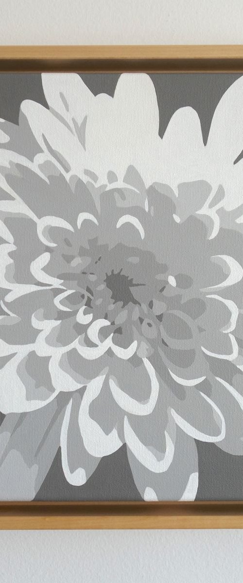 Dahlia by Susan Porter