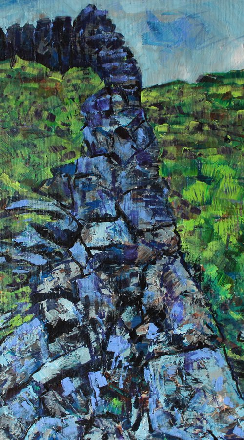 Wall at White Coppice by Julia Preston