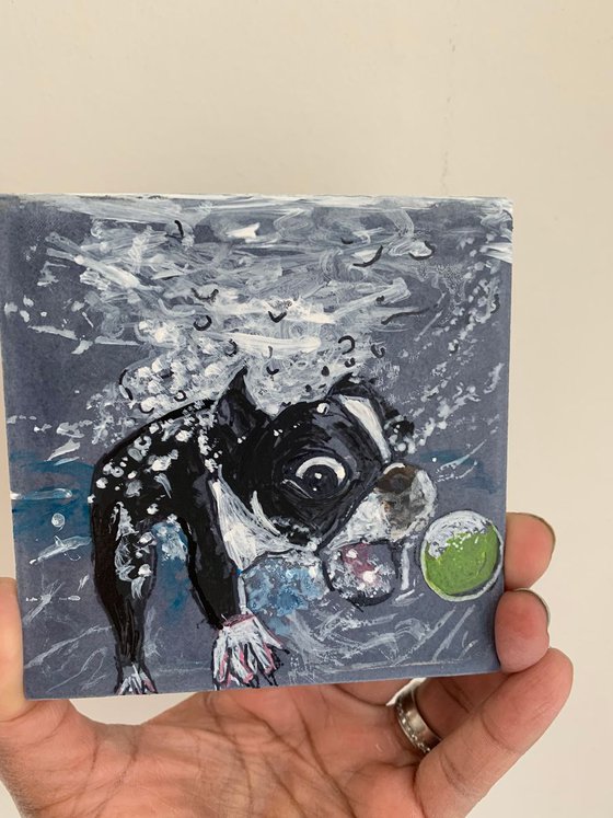 Catch! Acrylic Painting of Dog Underwater Catch Tennis Ball Fun Art Home Decor Gift Ideas