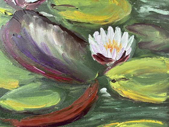 Serenity of Water Lilies