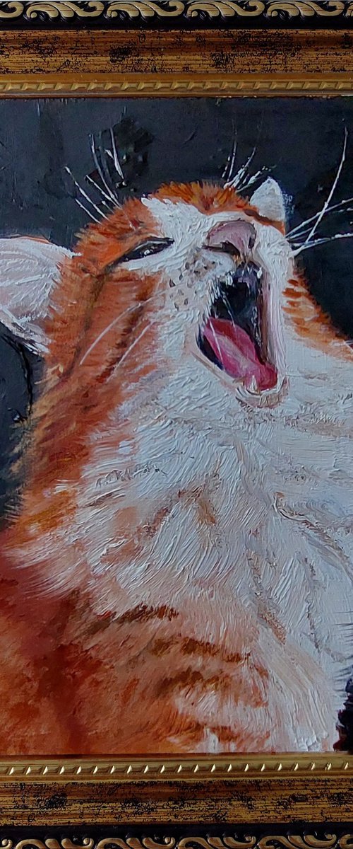 Yawning Ginger Cat by Ira Whittaker