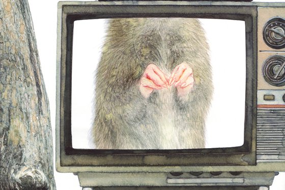 Mouse TV star