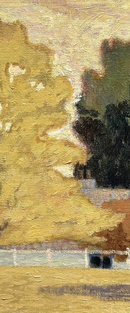 'Harman's Yellow' by Kimberley Day