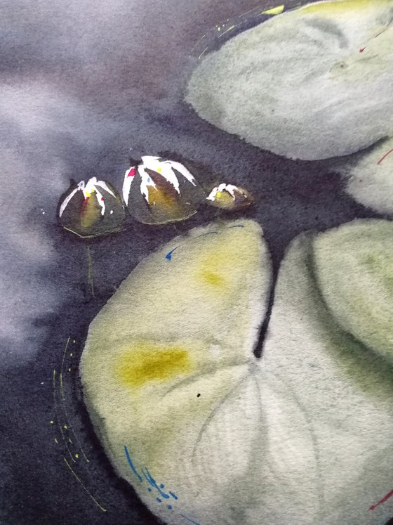 Water lilies painting