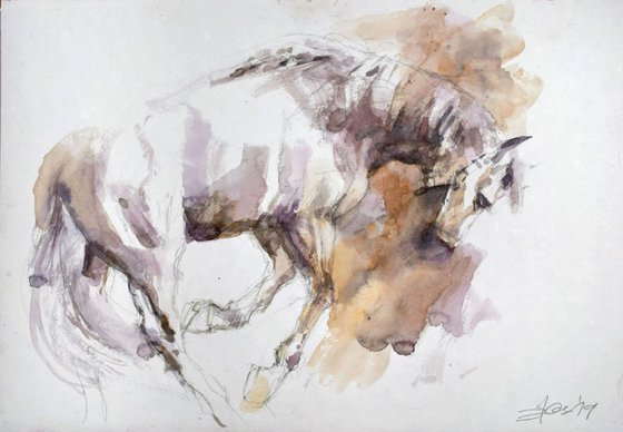 Running  horse study 7