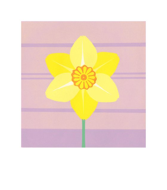 Daffodil