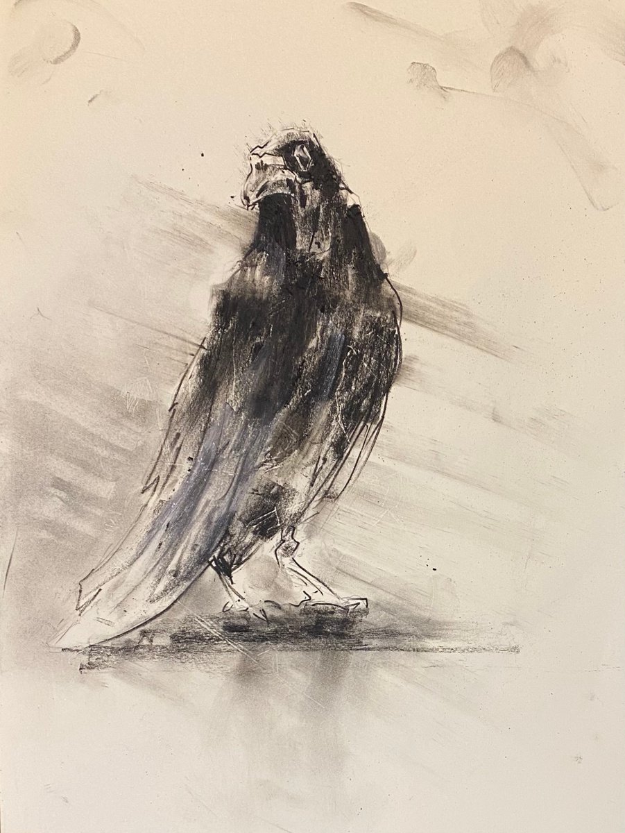 A Rook on its own-. by Paul Mitchell