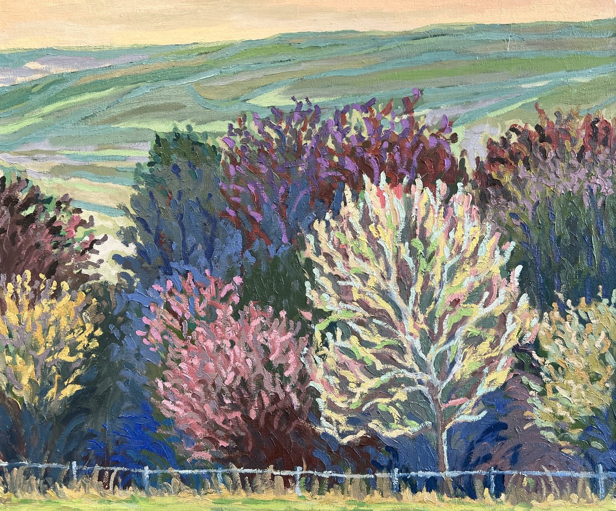 Impressionistic Landscape Oil Painting By Aylee Kim, 24 X 20, Autumnal Tint, Original Artwork