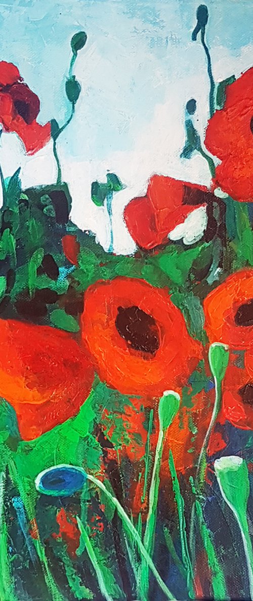 Red Poppies by Adriana Vasile