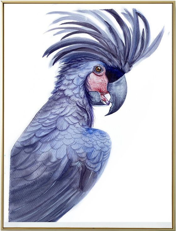 Black palm cockatoo, A Playful Glimpse of Nature in Watercolour 2