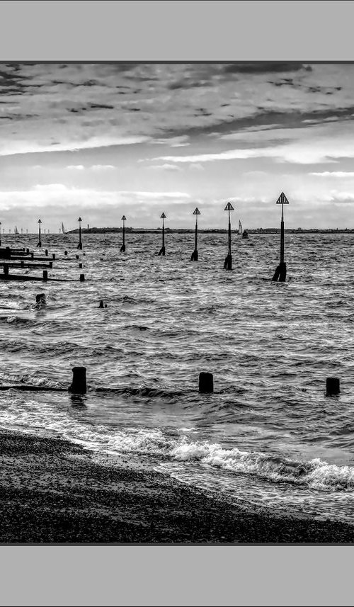Groynes and Posts by Martin  Fry