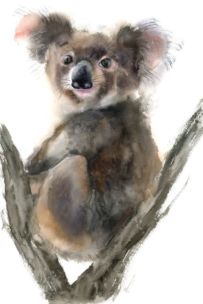 Impressionistic Animal Watercolour By Olga Tchefranov (Shefranov), 12 X 18", Koala, Original Artwork