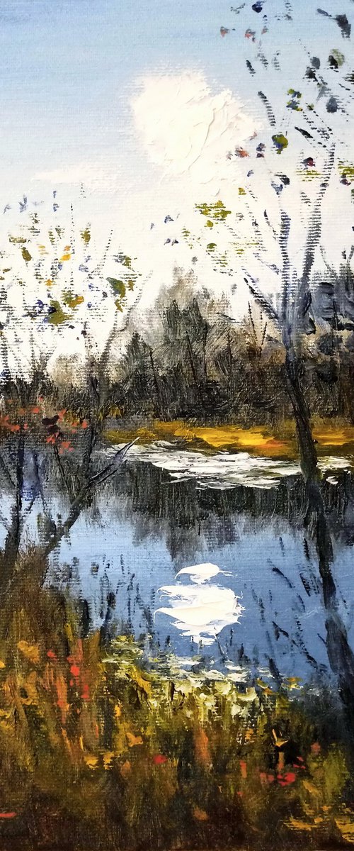 Impression. Autumn sun by Oleh Rak