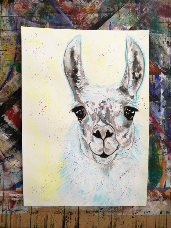 Blue Llama. Free Shipping