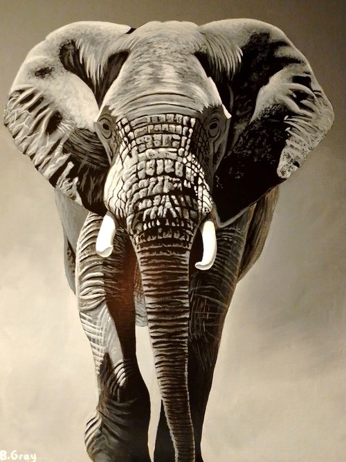 Elephant painting by Barry Gray