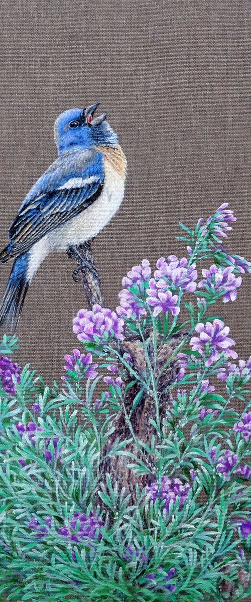 Bird. The Blue Bird Singing. by Anastasia Woron