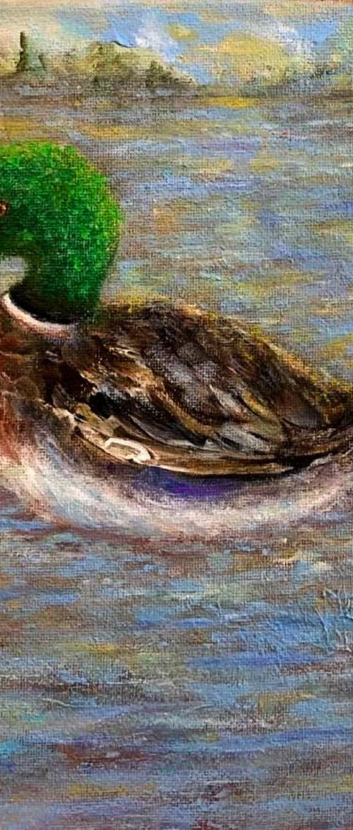 Ducking around../free shipping in USA by Cristina Mihailescu