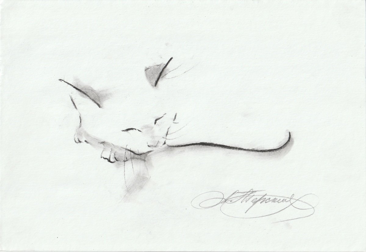 Animal Charcoal Drawing By Anastasia Terskih, 12 X 7, Sleep Time, Original Artwork