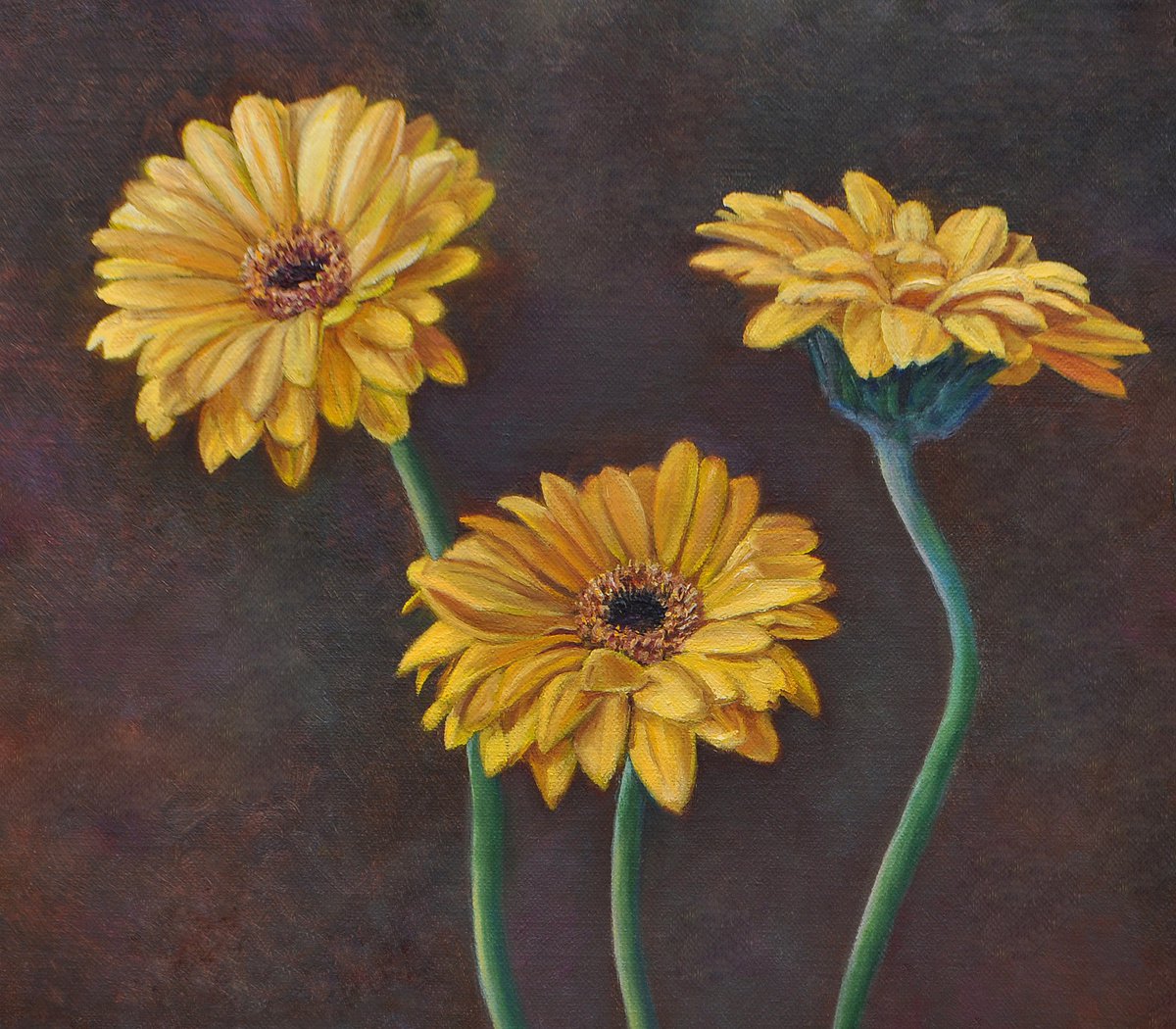 Yellow Gerberas original oil painting by Marina Petukhova