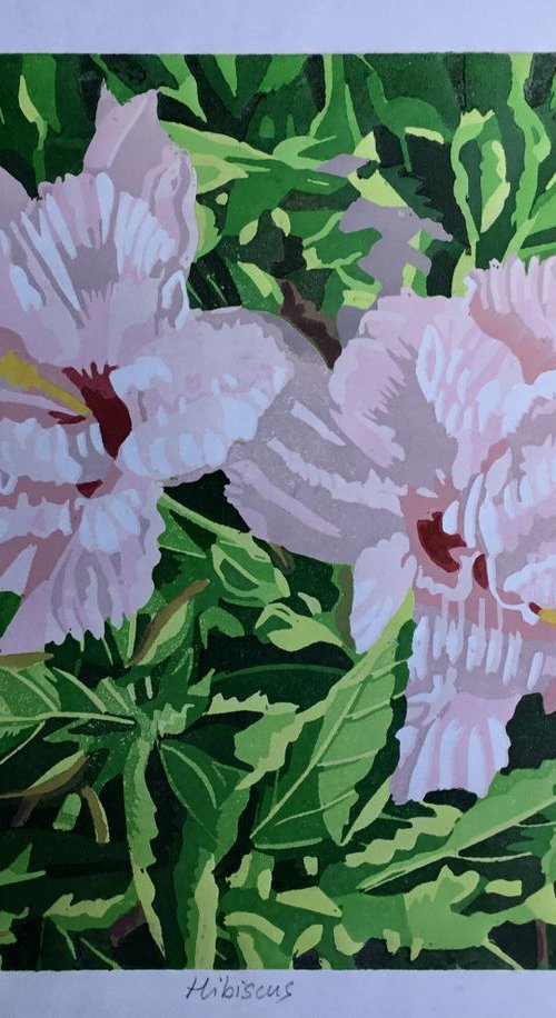 Hibiscus by Rosalind Forster