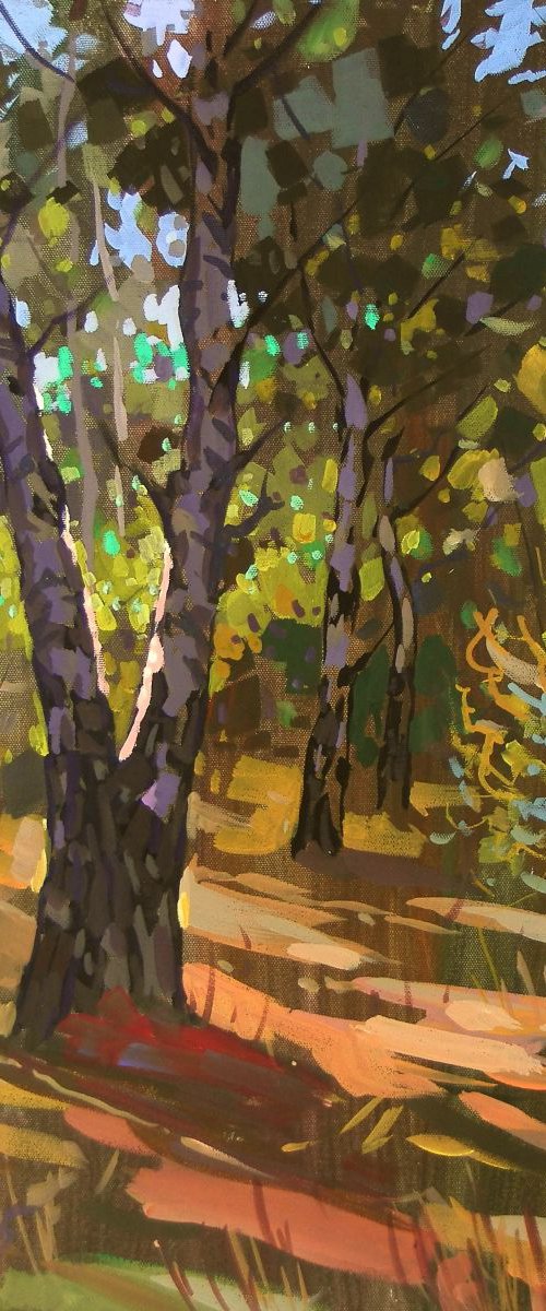 birches, original painting 50x60cm by Sergey  Kachin