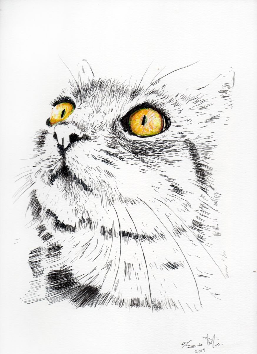 Animal Ink Drawing By Maurizio Puglisi, 9 X 13", Pepe, Original Artwork