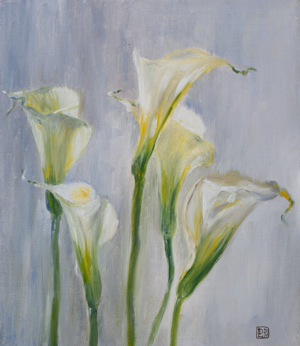 Gentle Calla Lilies By Liudmila Pisliakova, 14 X 16, Artwork For Sale On Artfinder