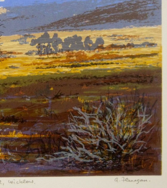 Winter Sunlight, Glen of Imaal