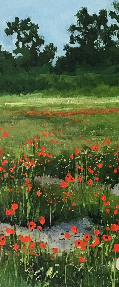 Poppy Field by Valerie Jobes