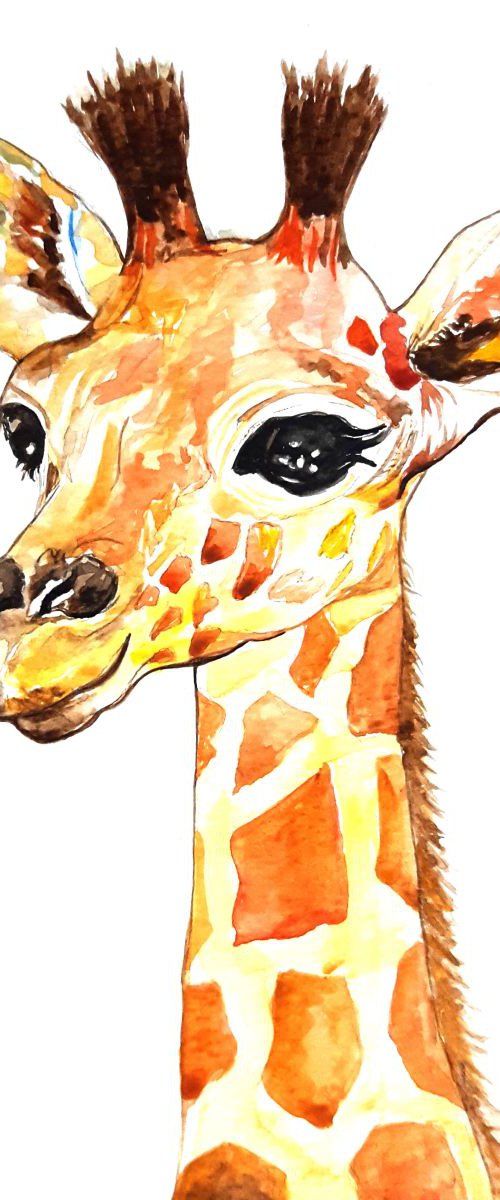 Baby giraffe by Luba Ostroushko