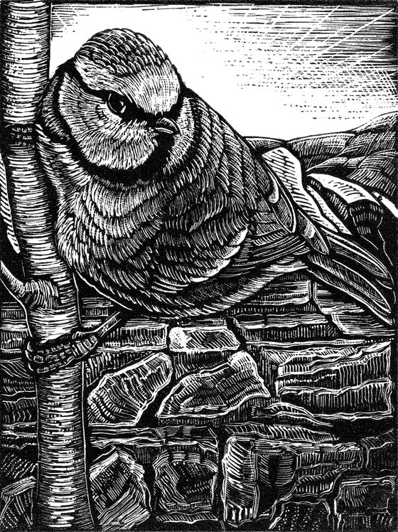 Portents of Spring