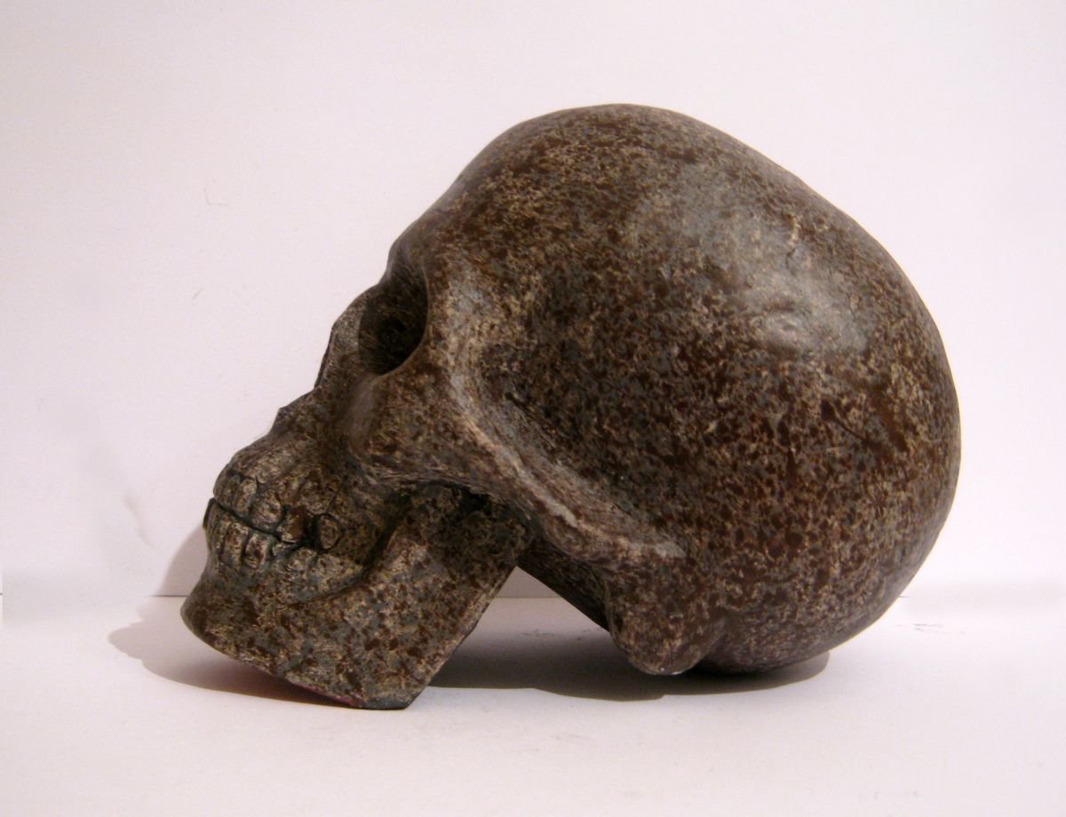 skull / manually sculpted and hand painted plaster sculpture / one of a kind sculpture_ by Sasha