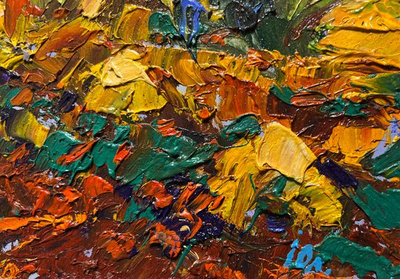 The edge of a plowed field