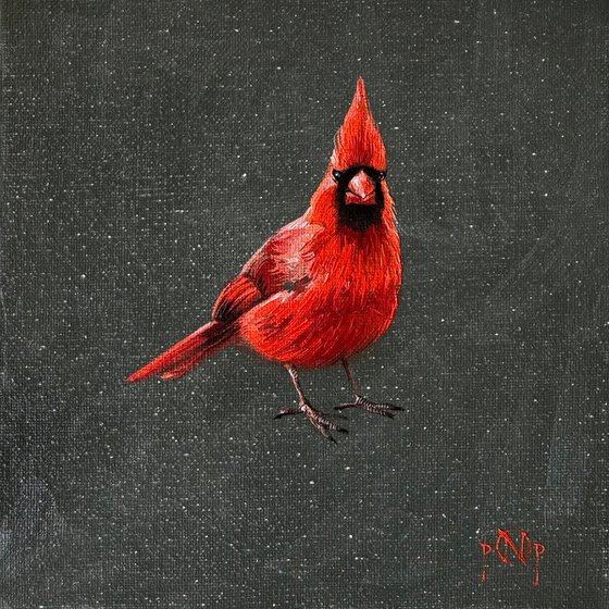 Cardinal reminder