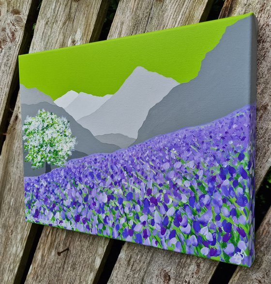 Blossom & bluebells at Rannerdale, The Lake District