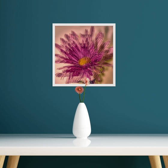 Abstract Flowers #1. Limited Edition 1/25 12x12 inch Photographic Print.