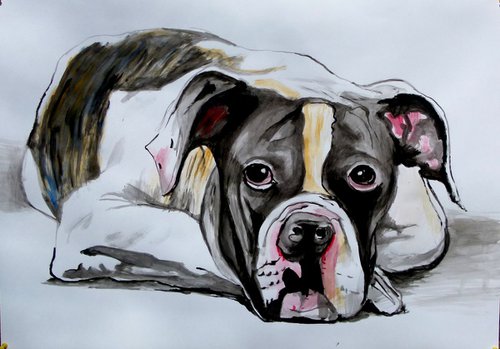 american bulldog by Soso Kumsiashvili