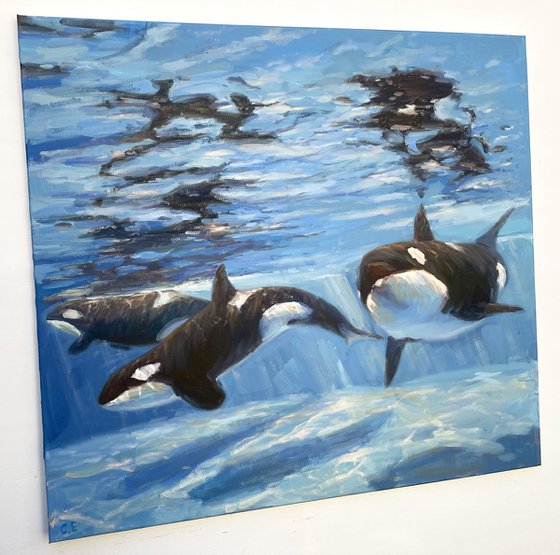 "Killer whales"