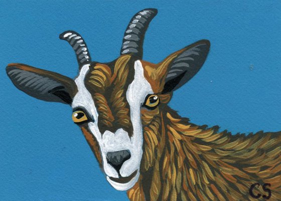 ACEO ATC Original Miniature Painting Goat Farmyard Art-Carla Smale