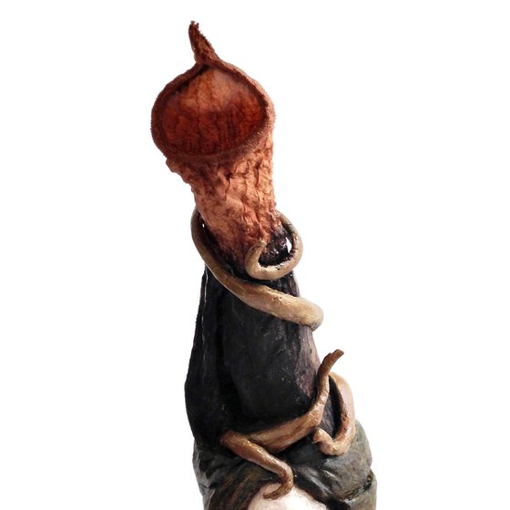 NEPENTHÈS, Ostréïdes series