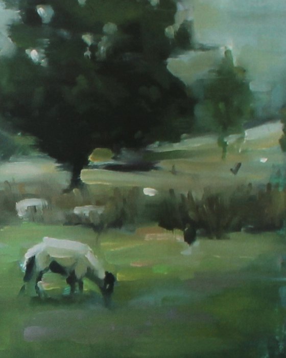 A Flock At Rest
