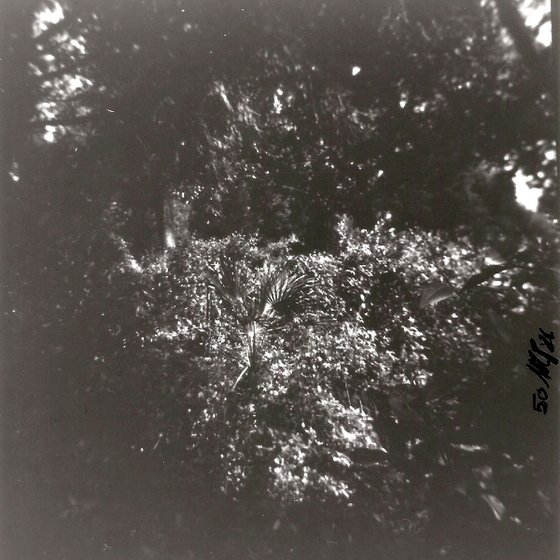 TIME NO.50