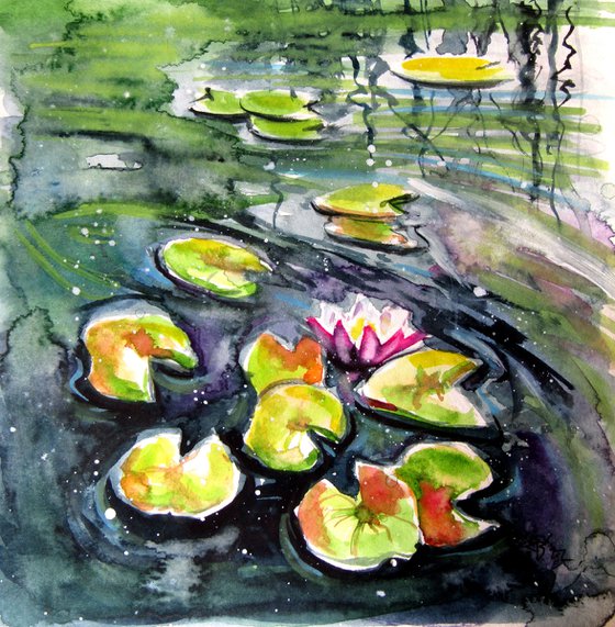 Little water lilies V