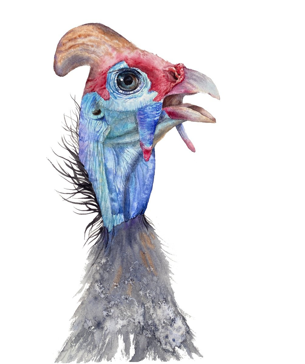 Photorealistic Animal Watercolour By Tetiana Savchenko, 8 X 10", Portrait Of Funny Guinea Bird, Original Artwork