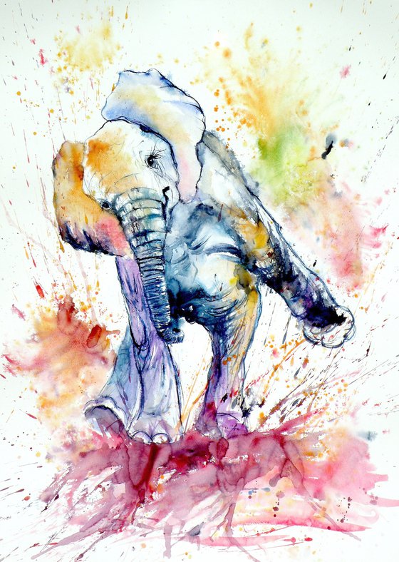 Playing elephant baby V