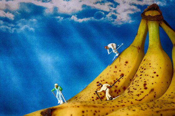 Banana Run