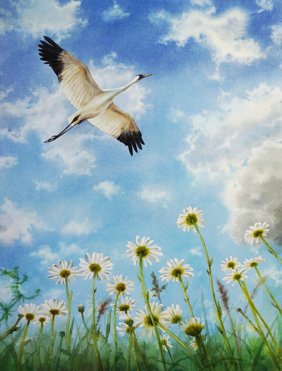 Whooping Crane original painting - watercolor landscape - meadow daisies - Whooping Cran... by Olga Beliaeva Watercolour