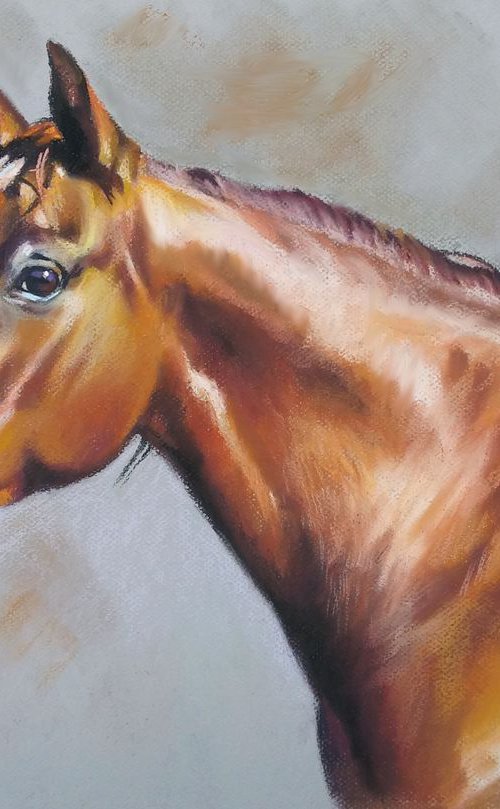 Portrait of an Andalusian horse by Magdalena Palega